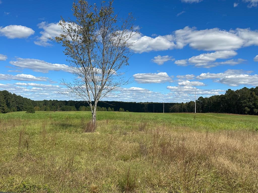 0 Highway 39 Chappells, SC 29037 - Photo 1 of 33 Gallery Image 1