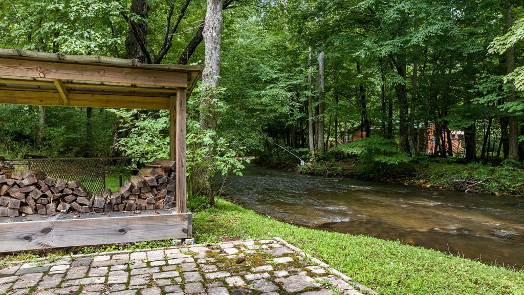 151 Olivers Pond Road Cherry Log, GA 30522 - Photo 5 of 57 Gallery Image 5