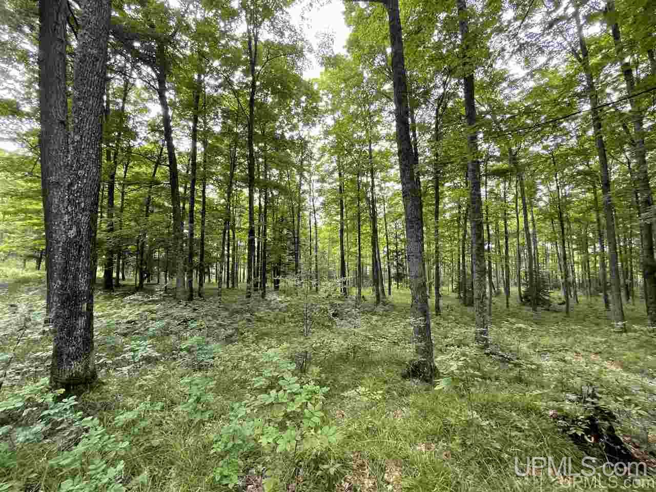 Tbd Sand Road, Unit 2 Powers, MI 49874 - Photo 22 of 38