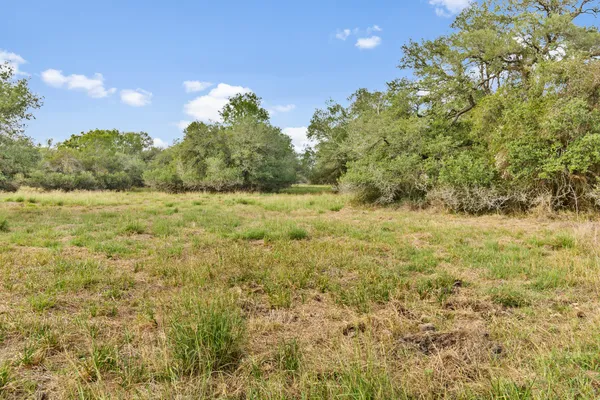 a view of a field with an trees