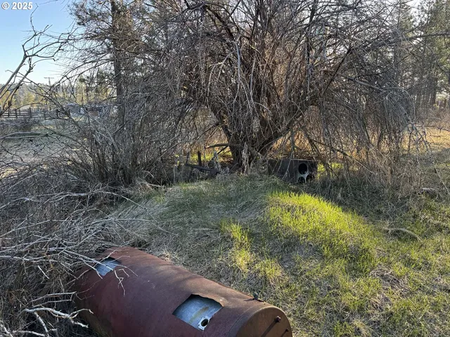 a view of backyard with outdoor space