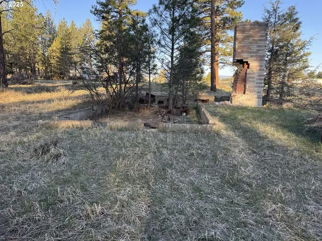 a view of a forest with trees