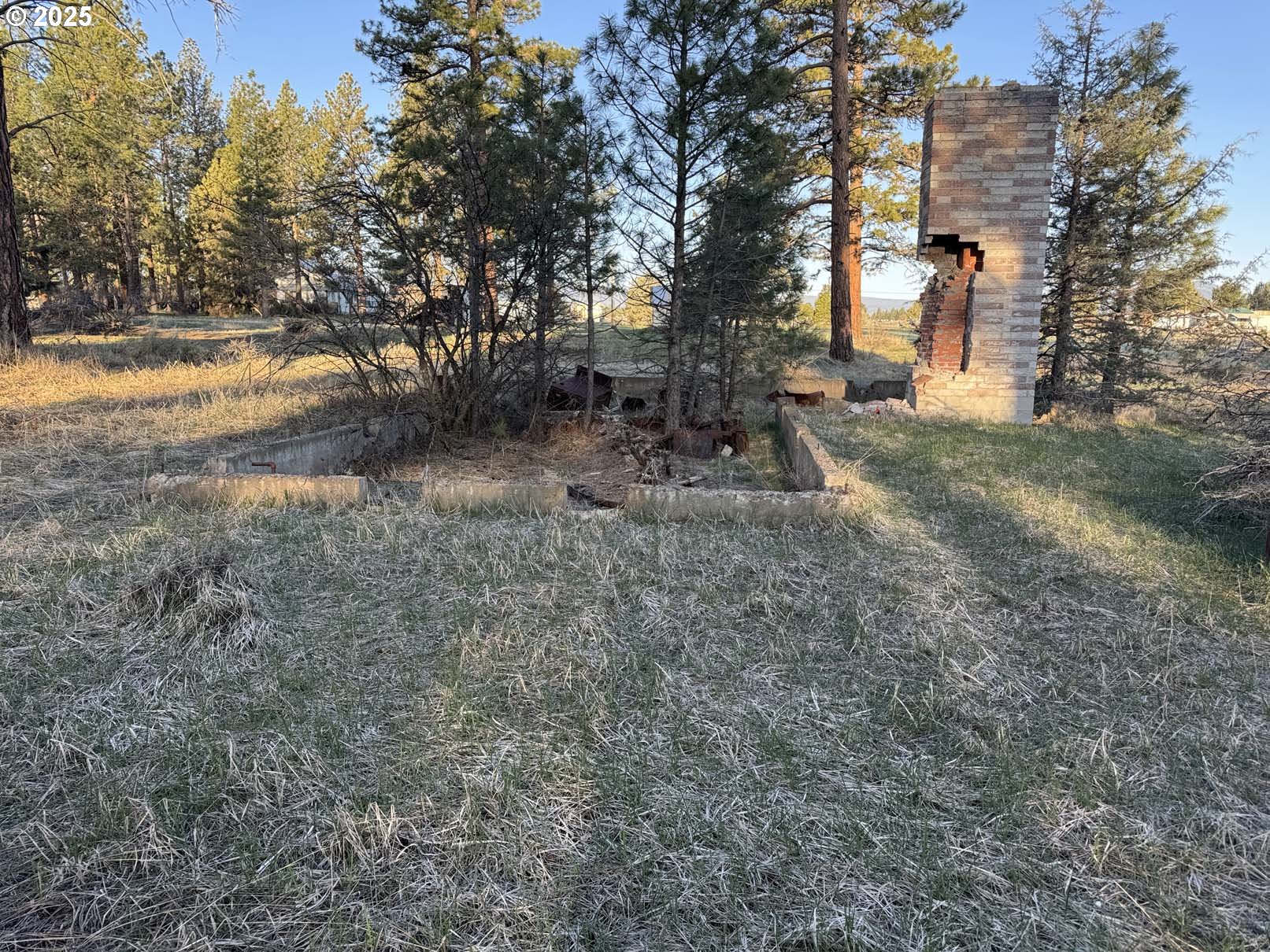 8th Avenue, Unit TL 1400 Sprague River, OR 97639 - Photo 13 of 24 a view of a forest with trees