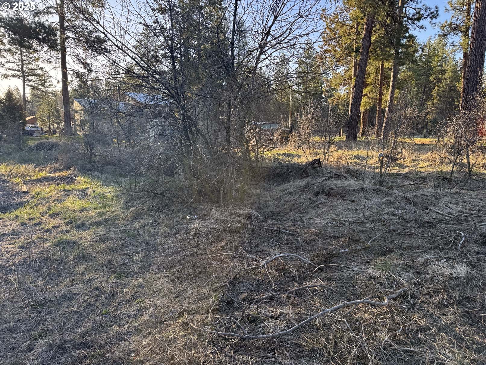 8th Avenue, Unit TL 1400 Sprague River, OR 97639 - Photo 14 of 24 a view of a yard with a tree