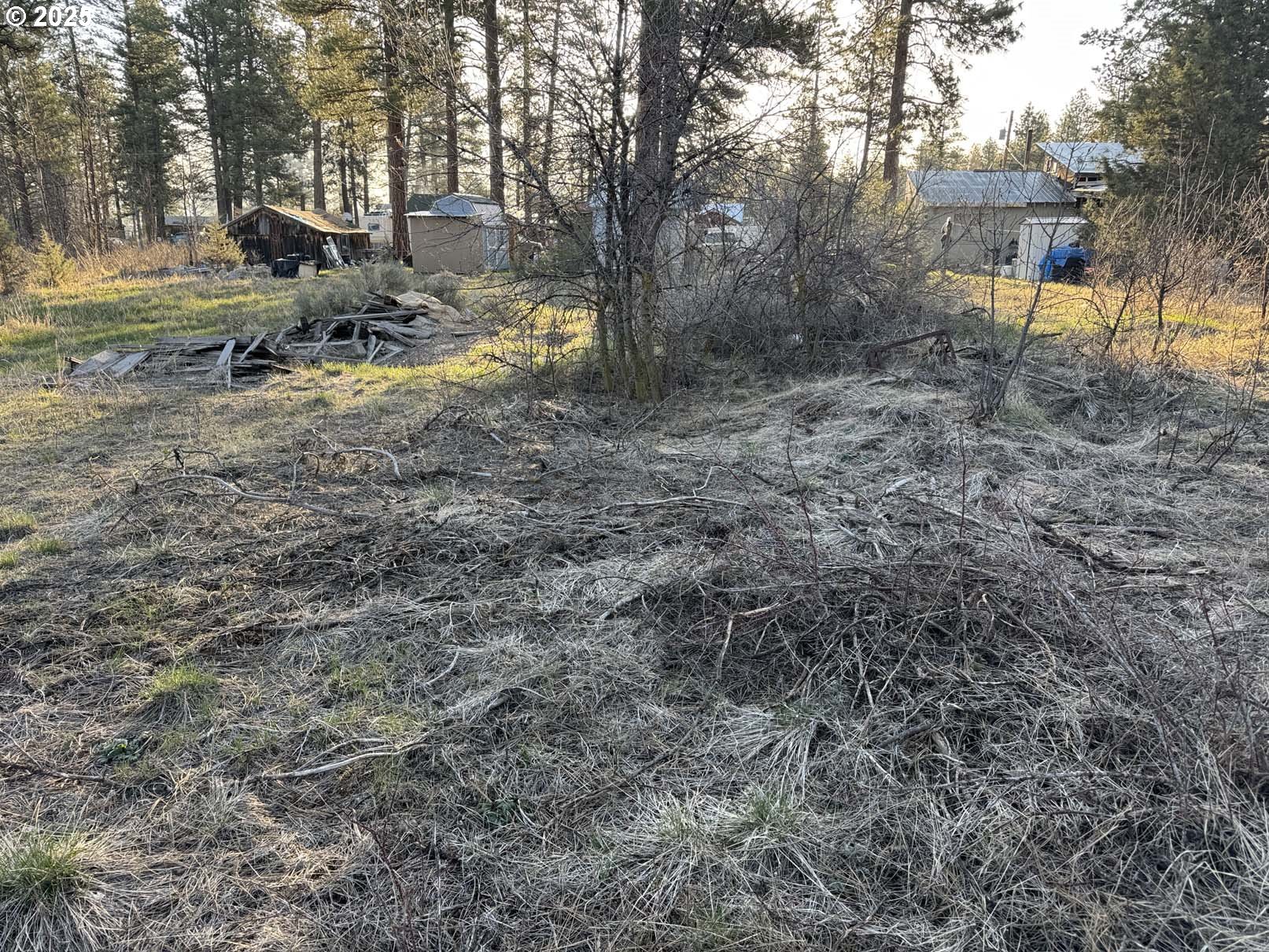 8th Avenue, Unit TL 1400 Sprague River, OR 97639 - Photo 16 of 24 a view of a yard with a tree