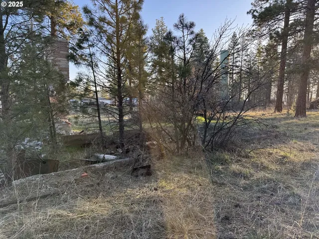 a view of outdoor space with trees