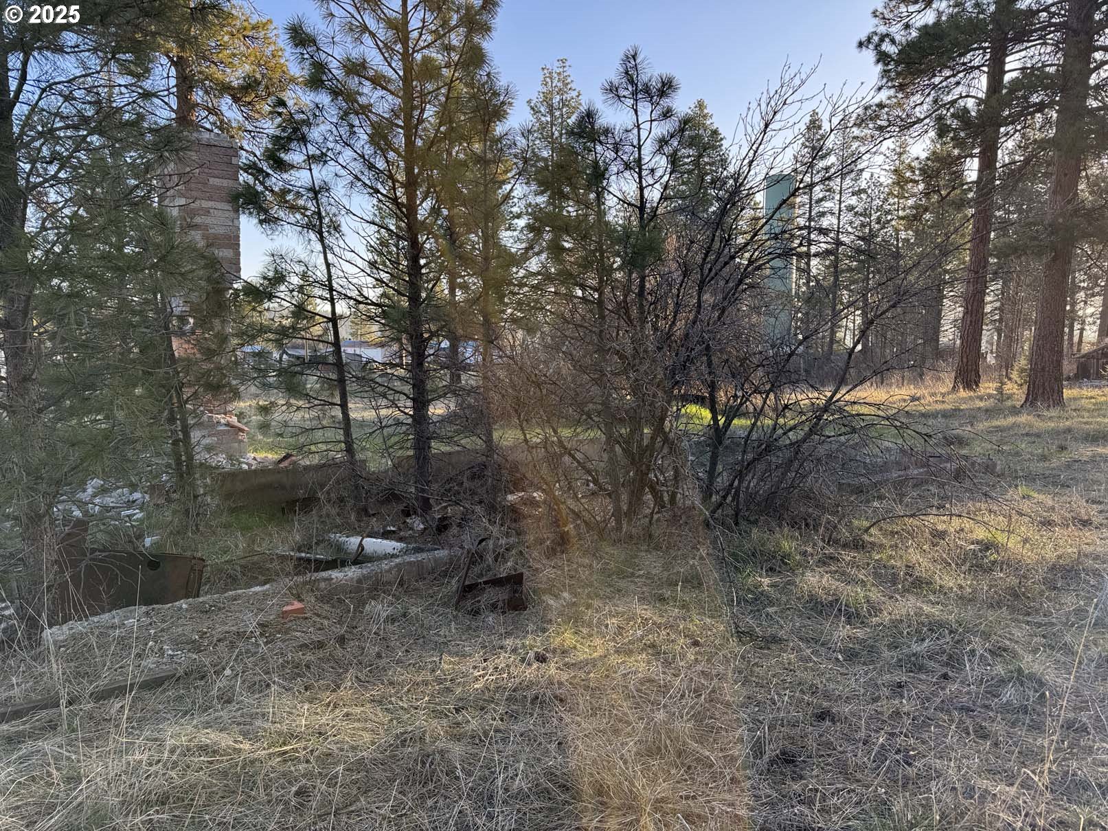 8th Avenue, Unit TL 1400 Sprague River, OR 97639 - Photo 19 of 24 a view of outdoor space with trees