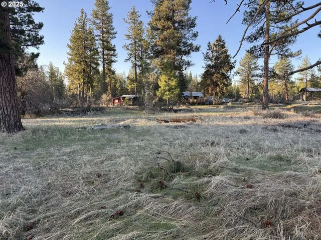 a view of road with trees