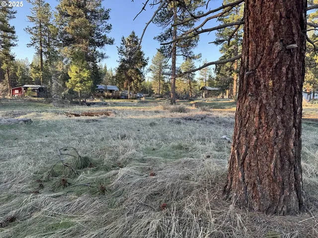 a view of road with trees