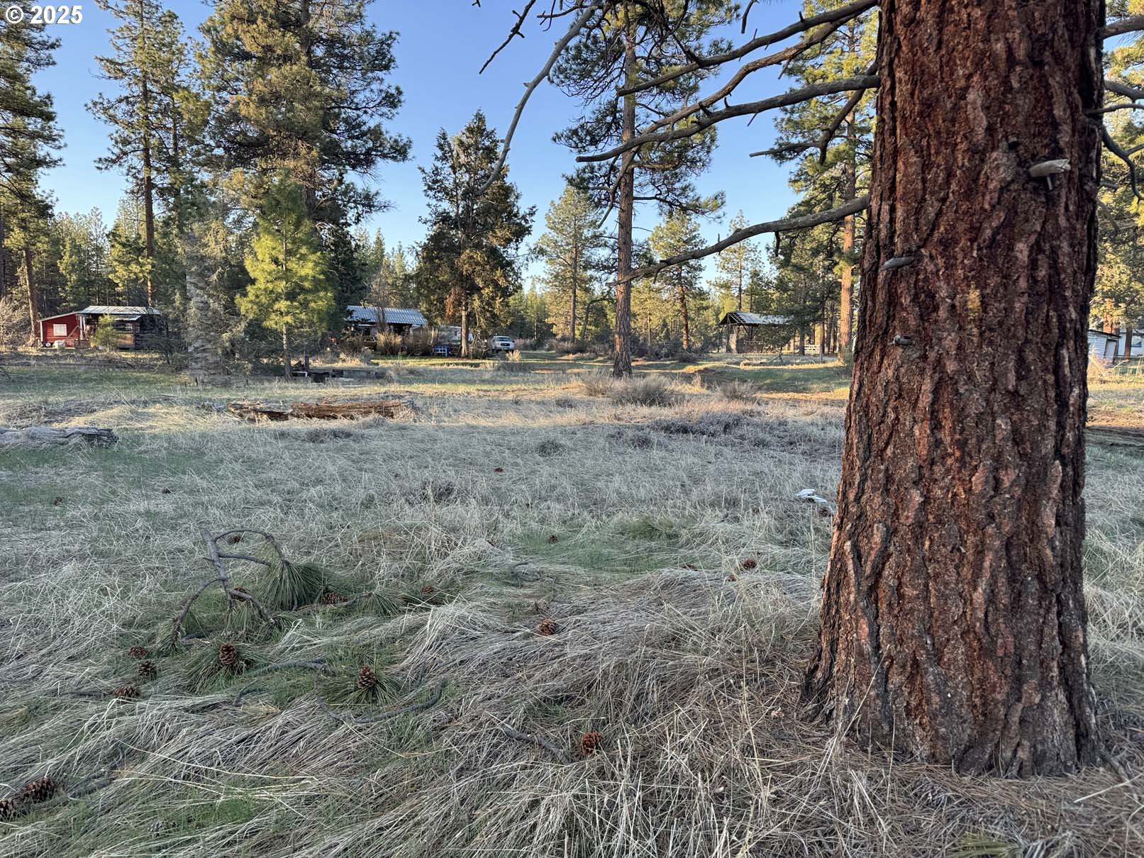 8th Avenue, Unit TL 1400 Sprague River, OR 97639 - Photo 3 of 24 a view of road with trees