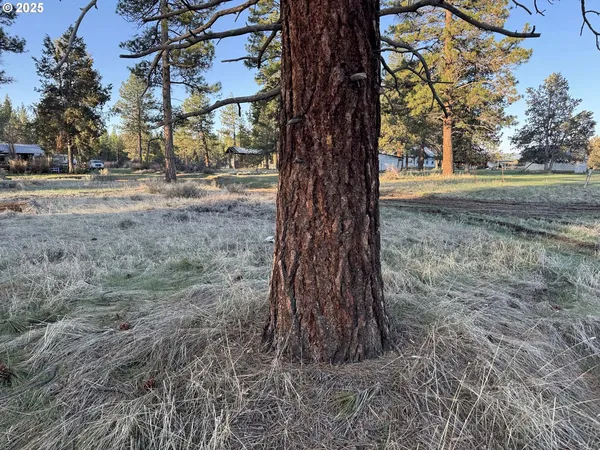 $14,000 | 8th Avenue, Unit TL 1400, Sprague River, OR 97639