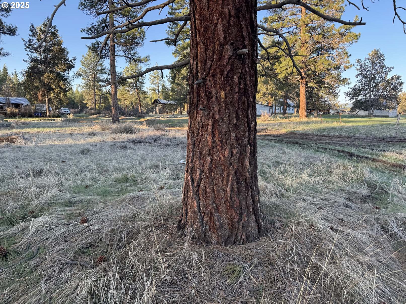 8th Avenue, Unit TL 1400 Sprague River, OR 97639 - Photo 4 of 24 a backyard of a house with lots of green space