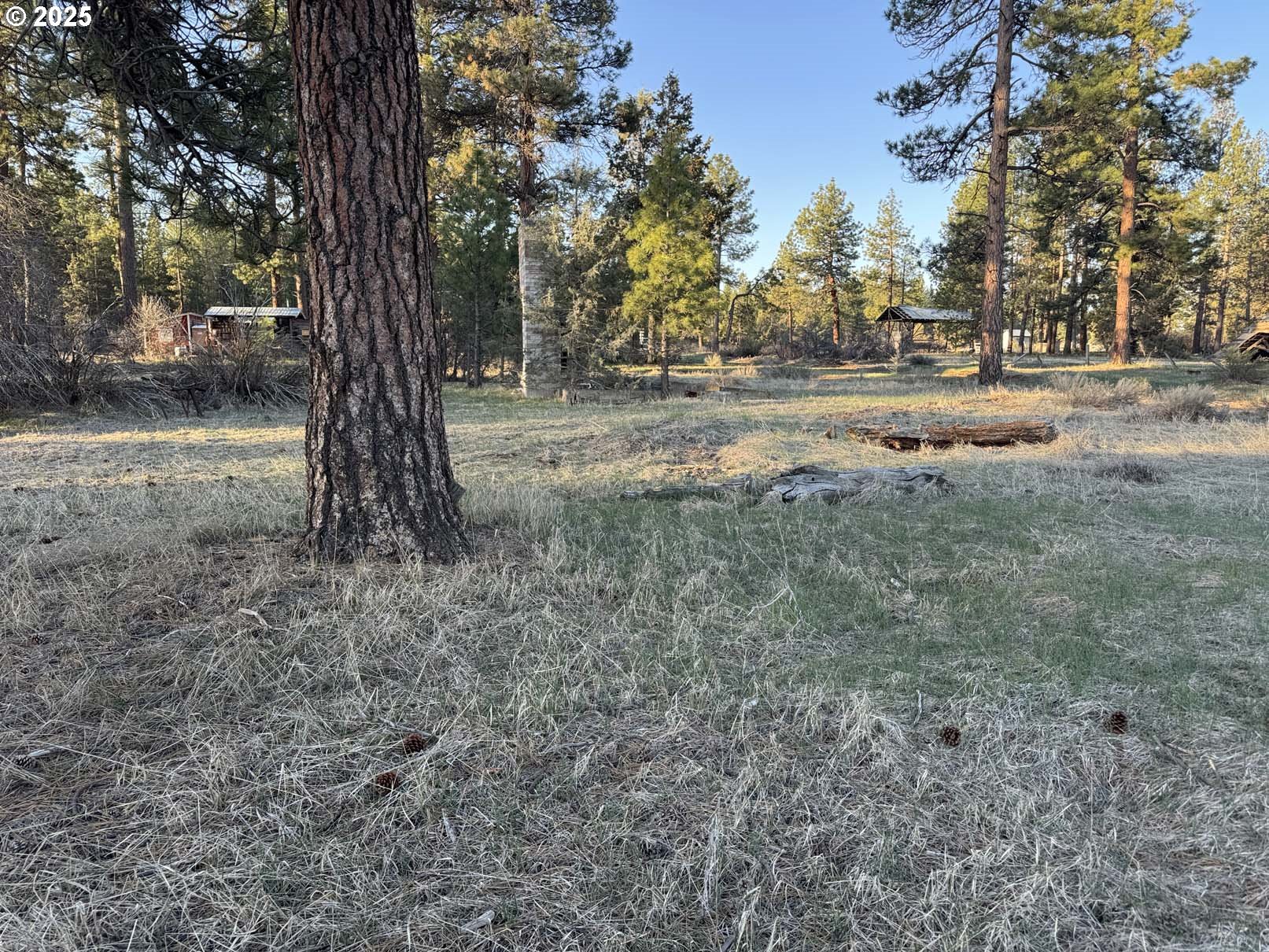 8th Avenue, Unit TL 1400 Sprague River, OR 97639 - Photo 6 of 24 a view of dirt yard with a tree