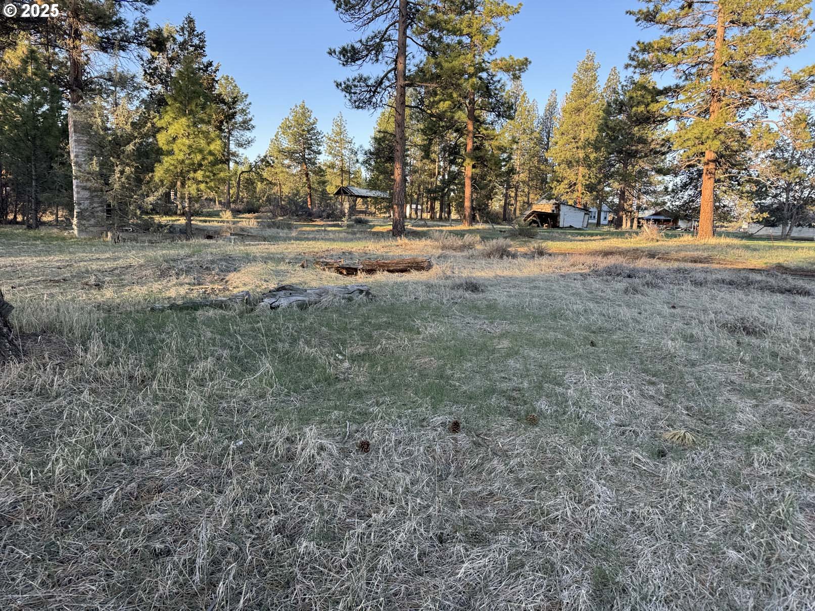 8th Avenue, Unit TL 1400 Sprague River, OR 97639 - Photo 7 of 24 a view of dirt yard with large trees