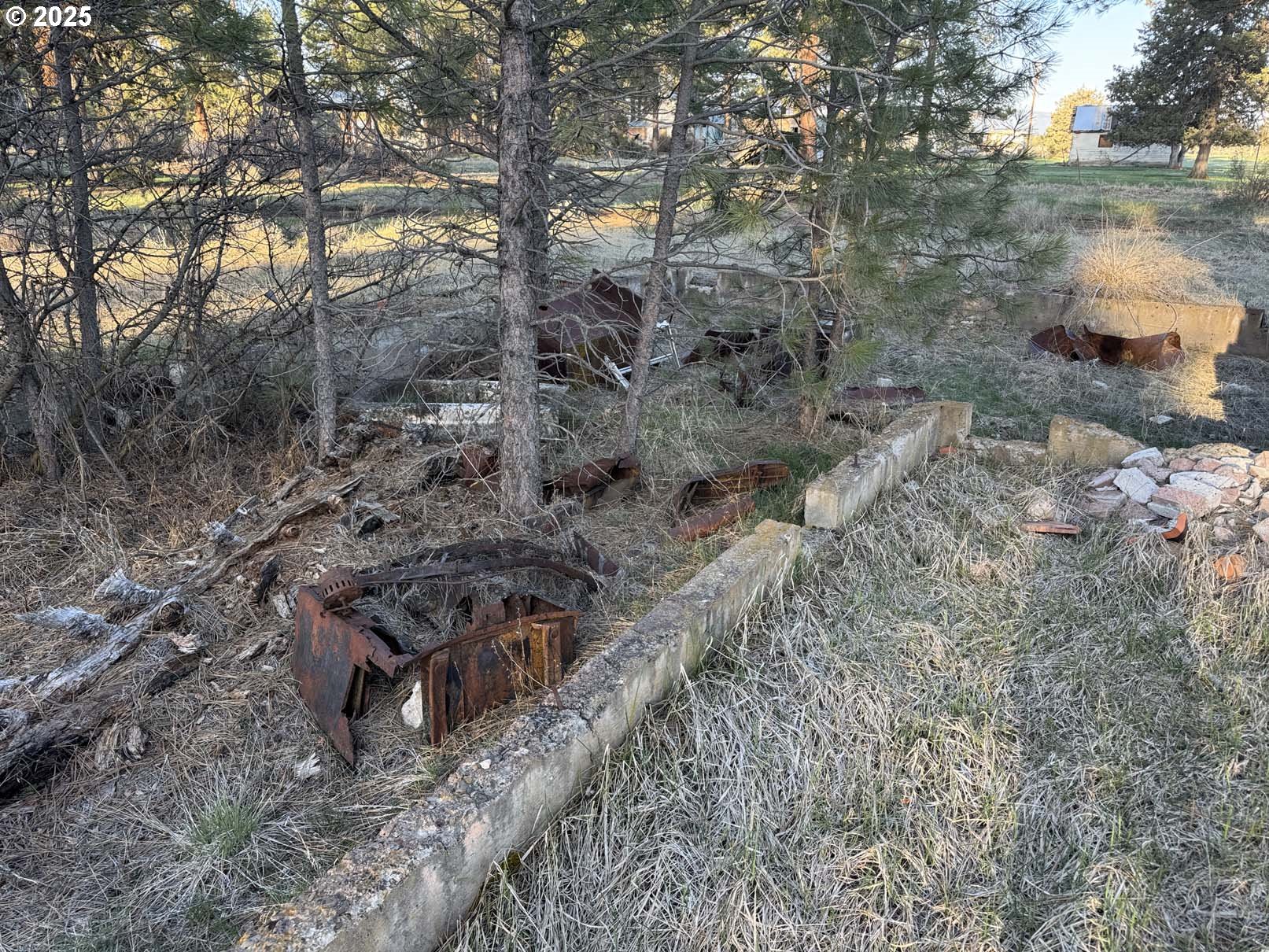 8th Avenue, Unit TL 1400 Sprague River, OR 97639 - Photo 8 of 24 a view of a yard with plants and trees