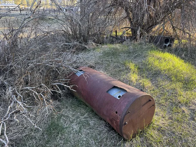 a view of a trees in a backyard