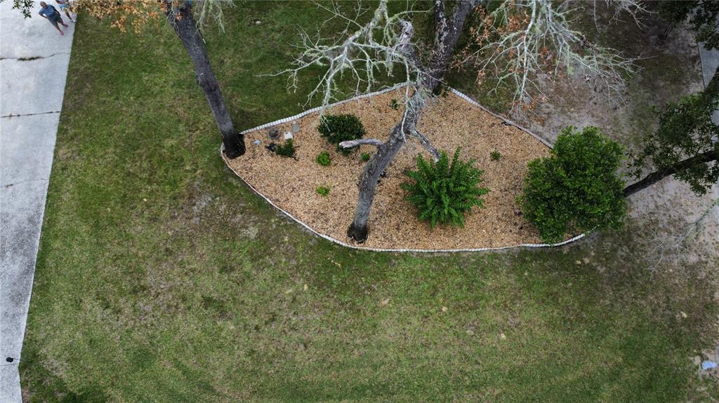 8951 Southwest 202nd Avenue Road Dunnellon, FL 34431 - Photo 38 of 39