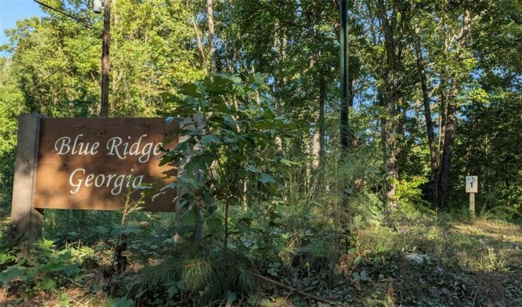Lot 1 White Oak Circle Blue Ridge, GA 30513 - Photo 1 of 16 Gallery Image 1