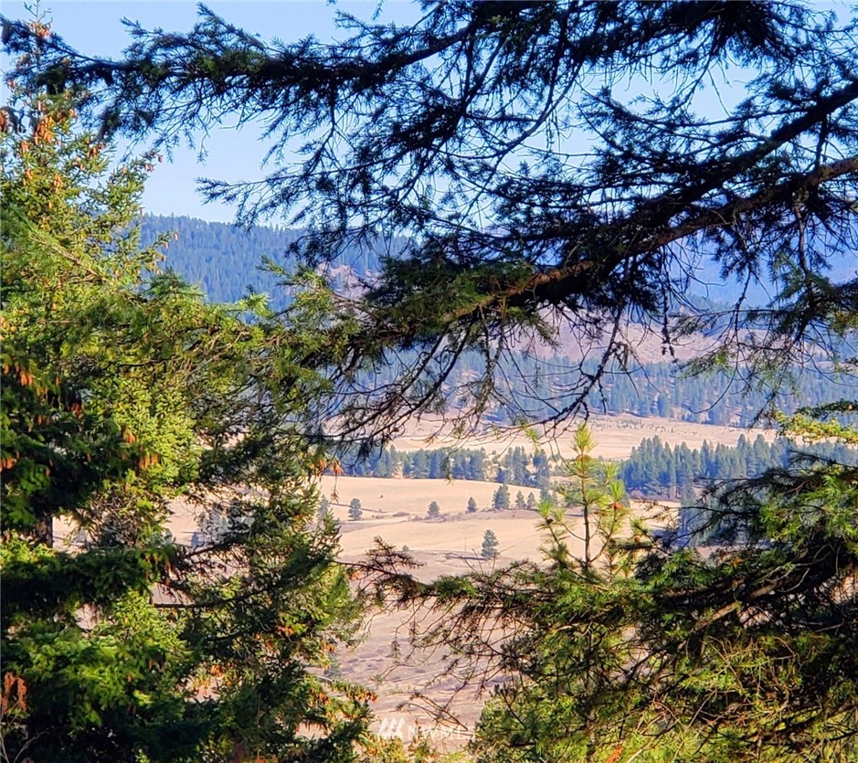 0 Lambert Road Cle Elum, WA 98922 - Photo 2 of 10 Gallery Image 2