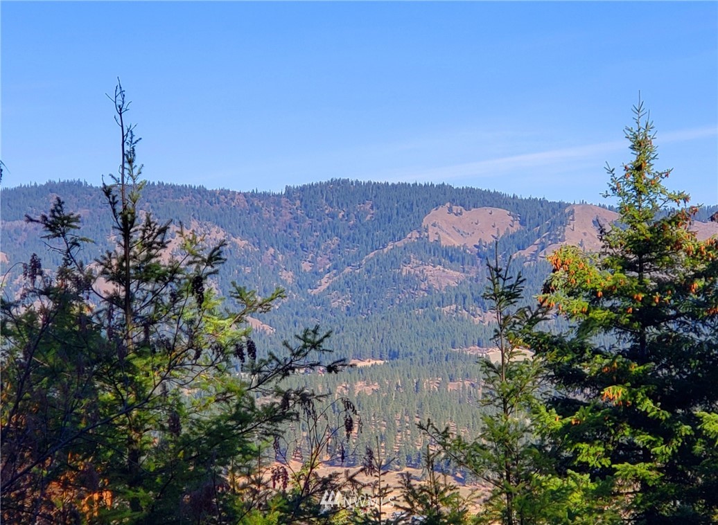0 Lambert Road Cle Elum, WA 98922 - Photo 3 of 10 Gallery Image 3