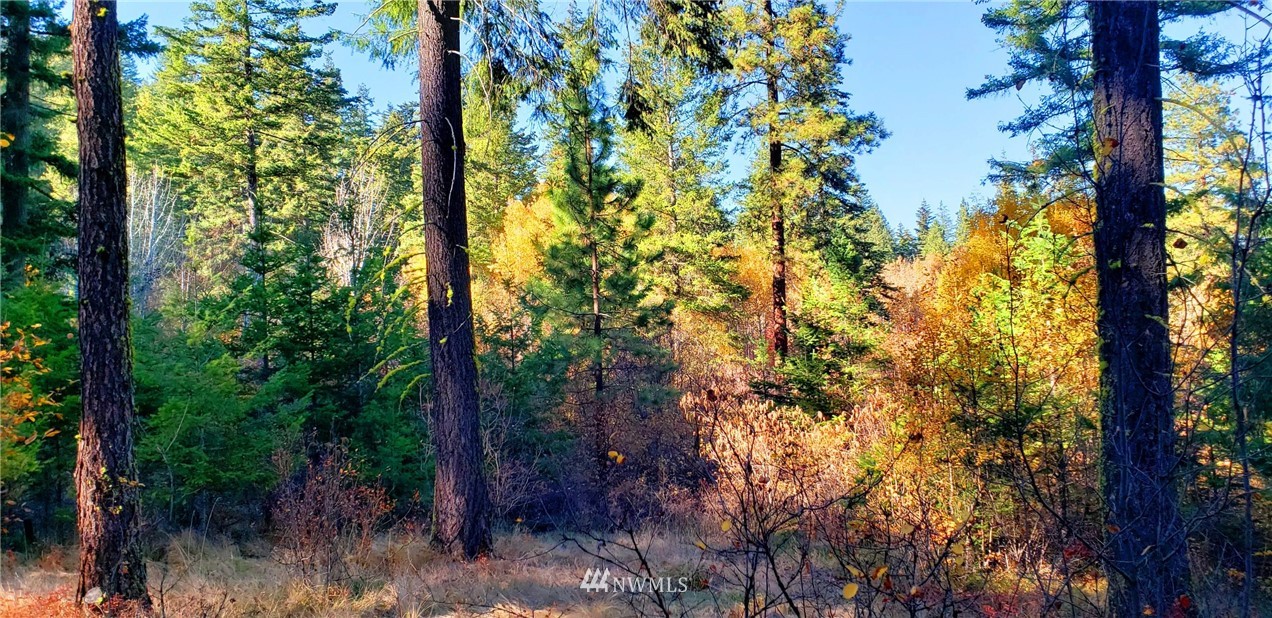 0 Lambert Road Cle Elum, WA 98922 - Photo 9 of 10 Gallery Image 9