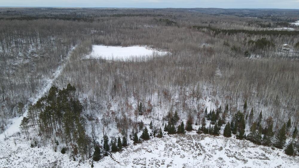 152-acres West Miller Road Mio, MI 48647 - Photo 32 of 137 DJI_0473