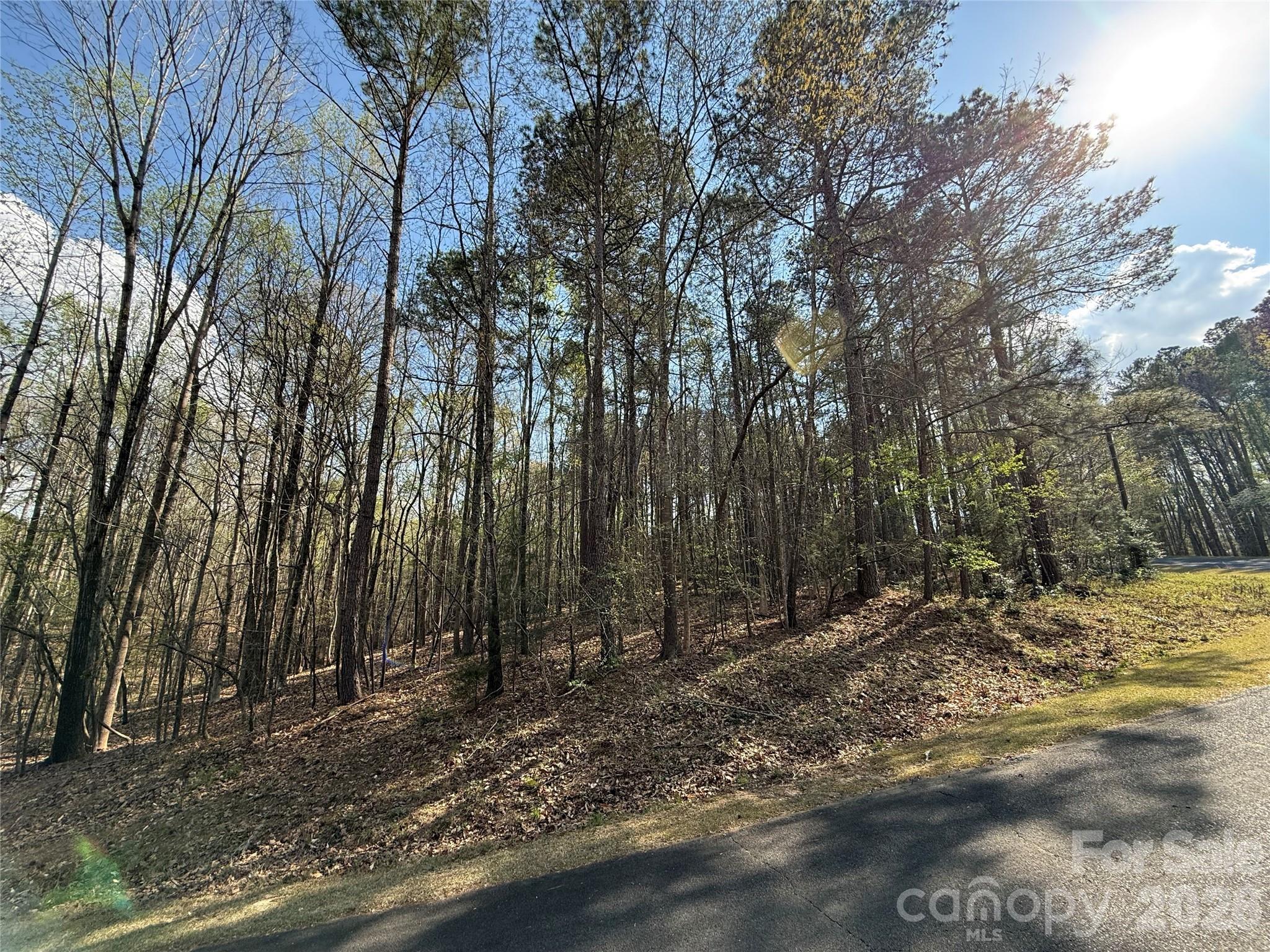 Tbd East Goldmine Road Wadesboro, NC 28170 - Photo 4 of 6