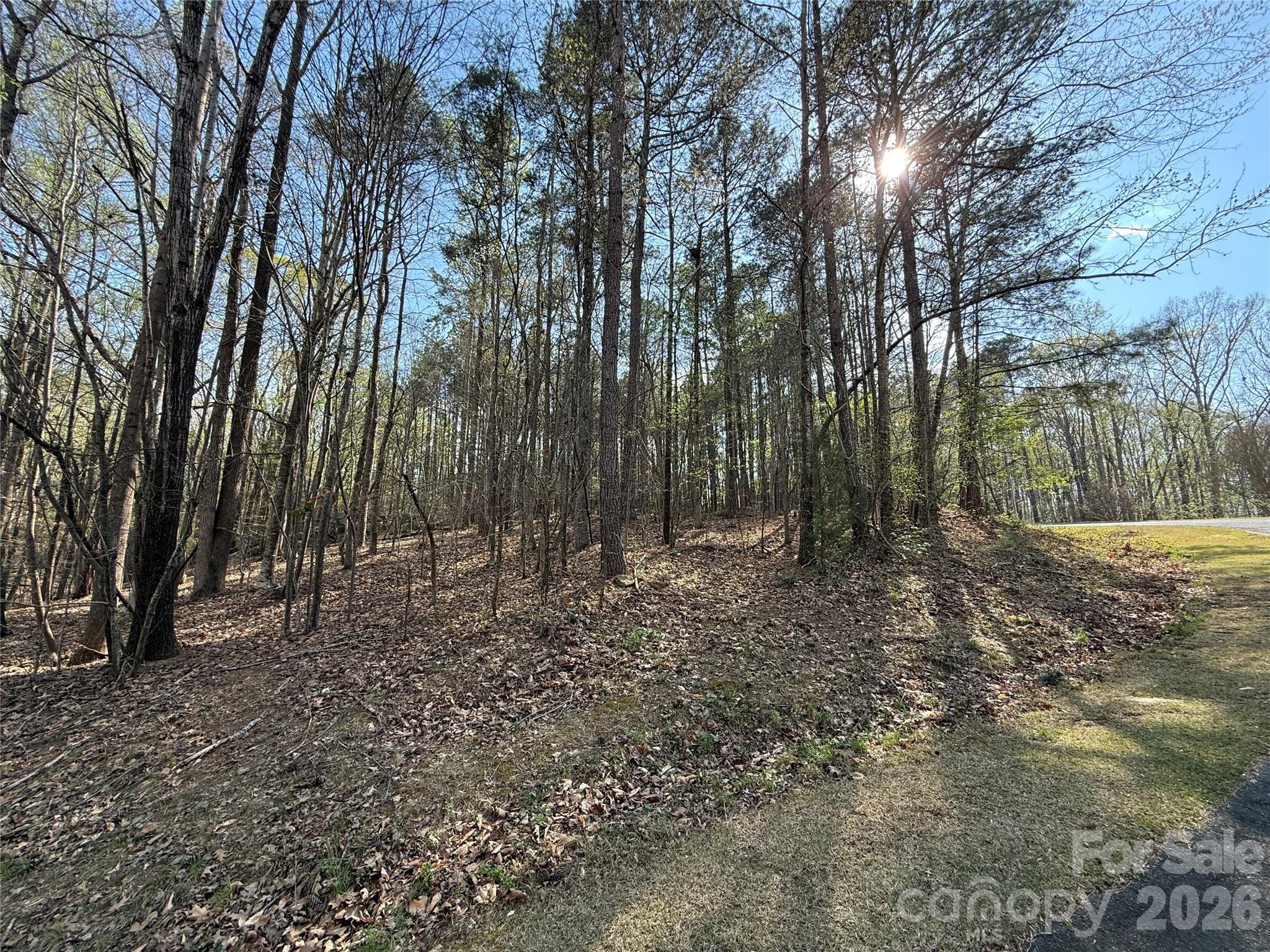 Tbd East Goldmine Road Wadesboro, NC 28170 - Photo 5 of 6