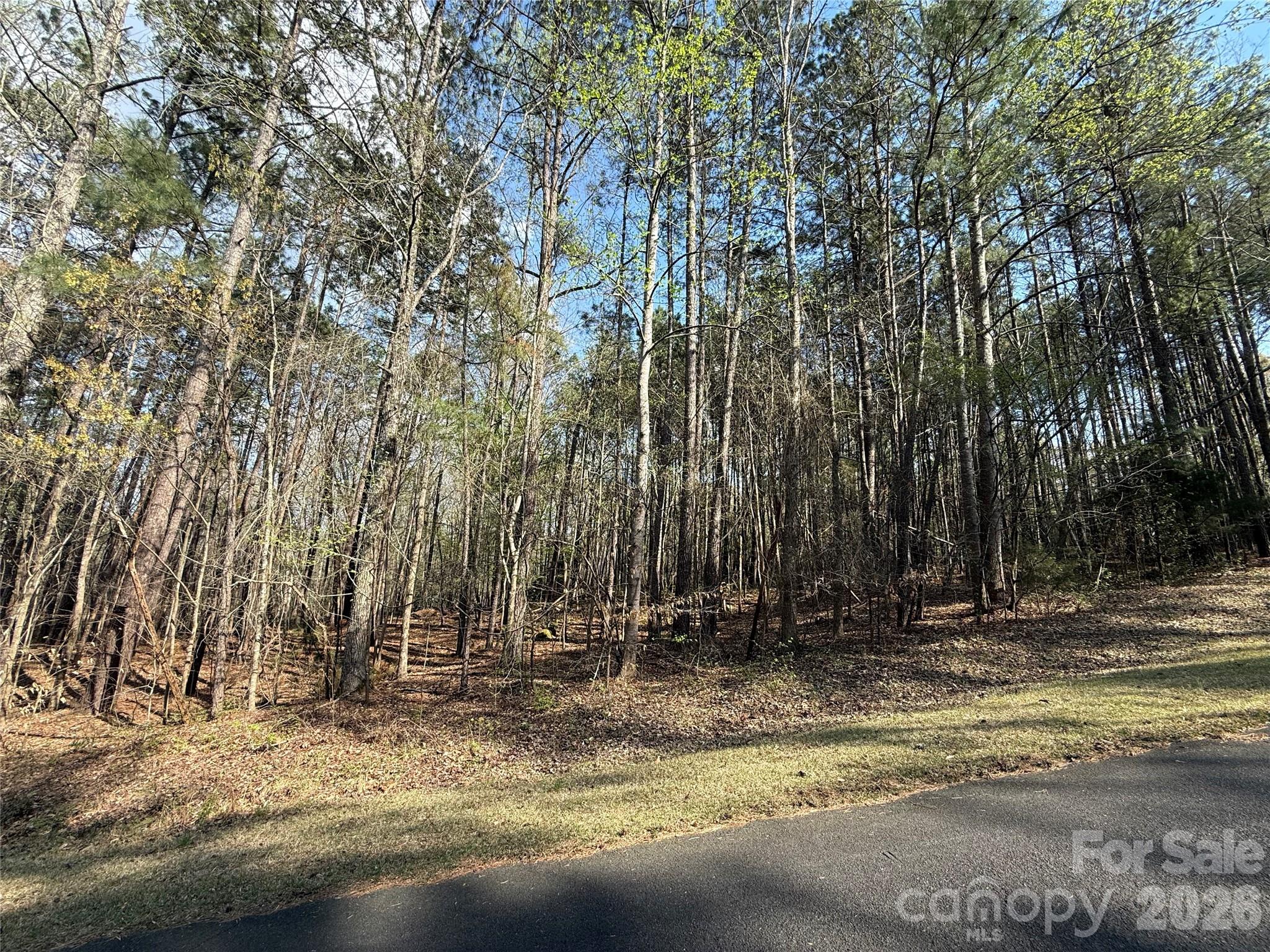 Tbd East Goldmine Road Wadesboro, NC 28170 - Photo 6 of 6