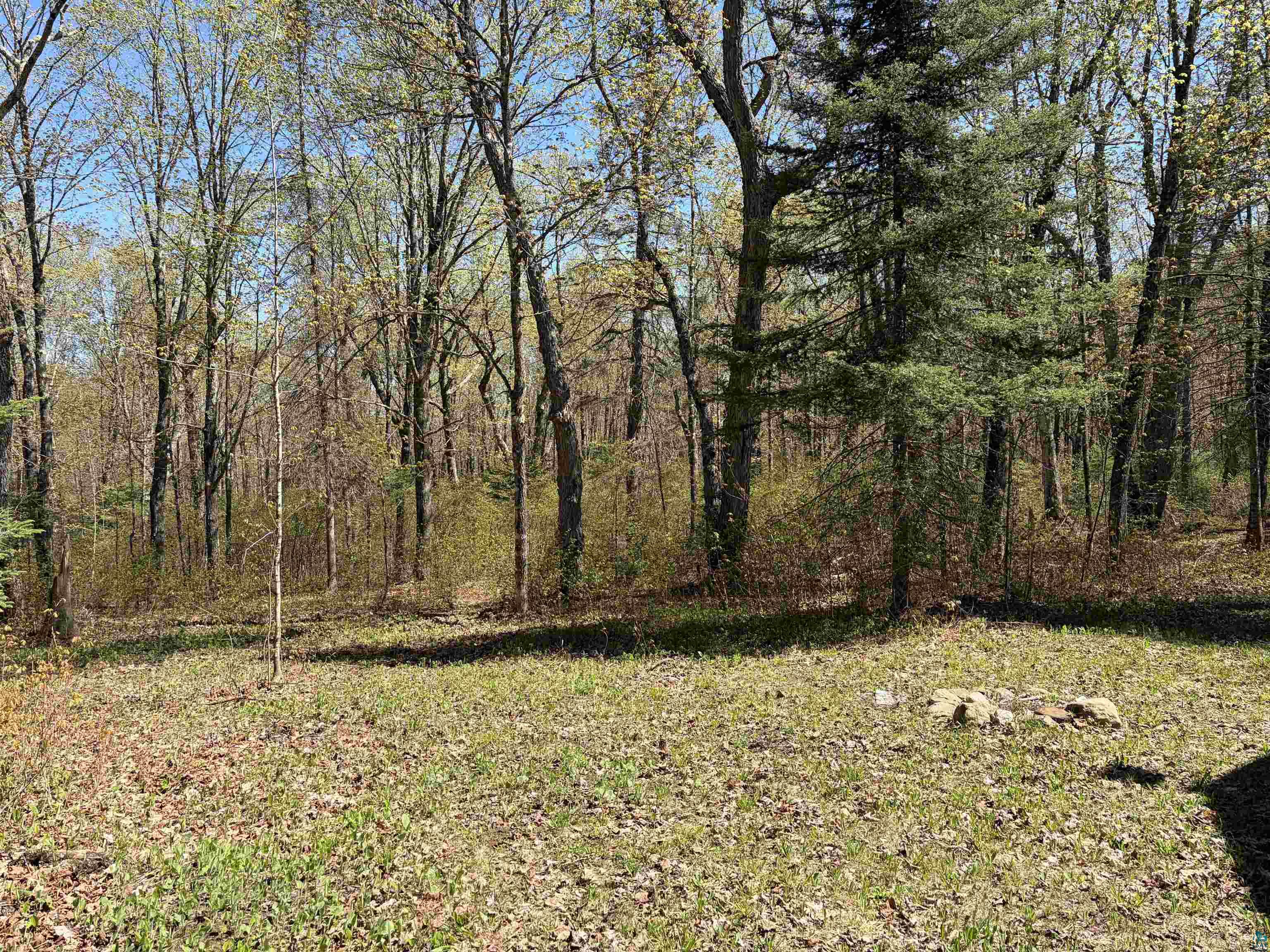 4715 Heffelfinger Road Finland, MN 55603 - Photo 26 of 31 Yard