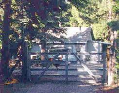 9676 Thatcher Mill Road Shingletown, CA 96088 - Photo 2 of 2 a view of a yard