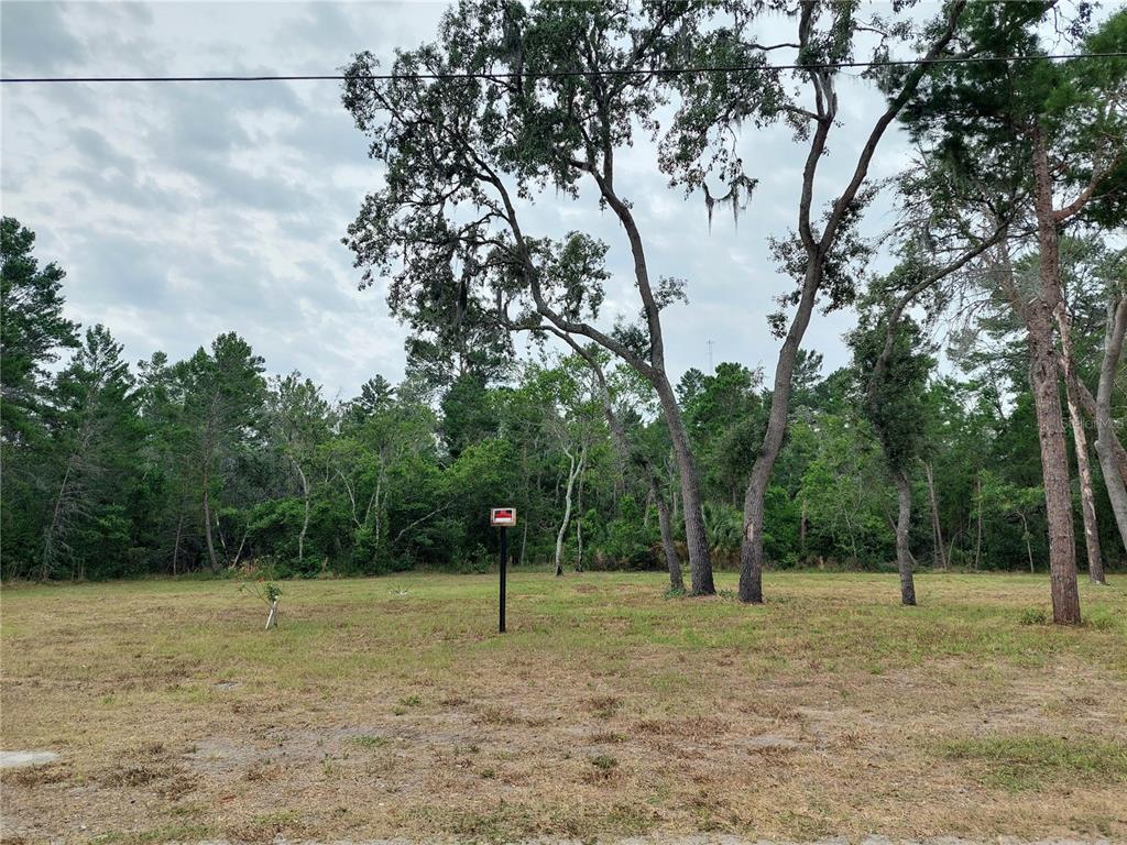 11918 Randee Road New Port Richey, FL 34654 - Photo 1 of 1 Gallery Image 1