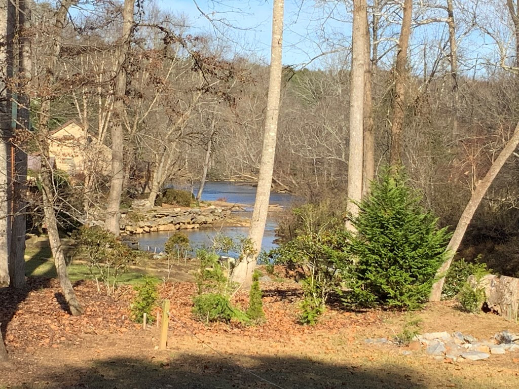 0 Brasstown View Road Murphy, NC 28906 - Photo 12 of 12