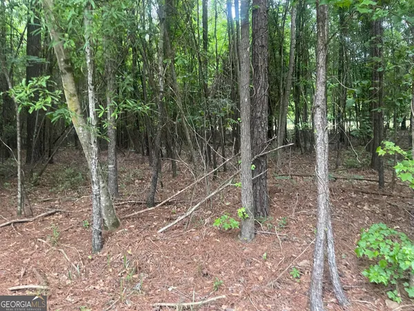 $420,000 | 1716 Ranger Road, Warrenton, GA 30828