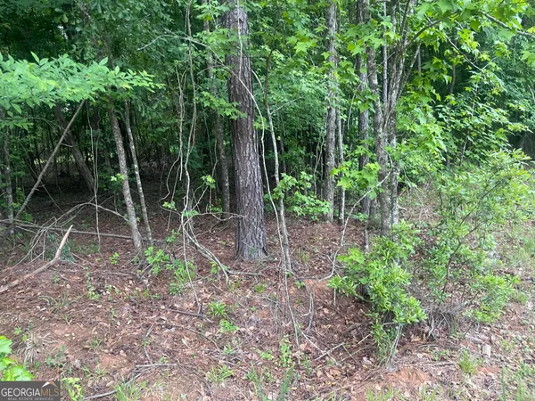 $420,000 | 1716 Ranger Road, Warrenton, GA 30828