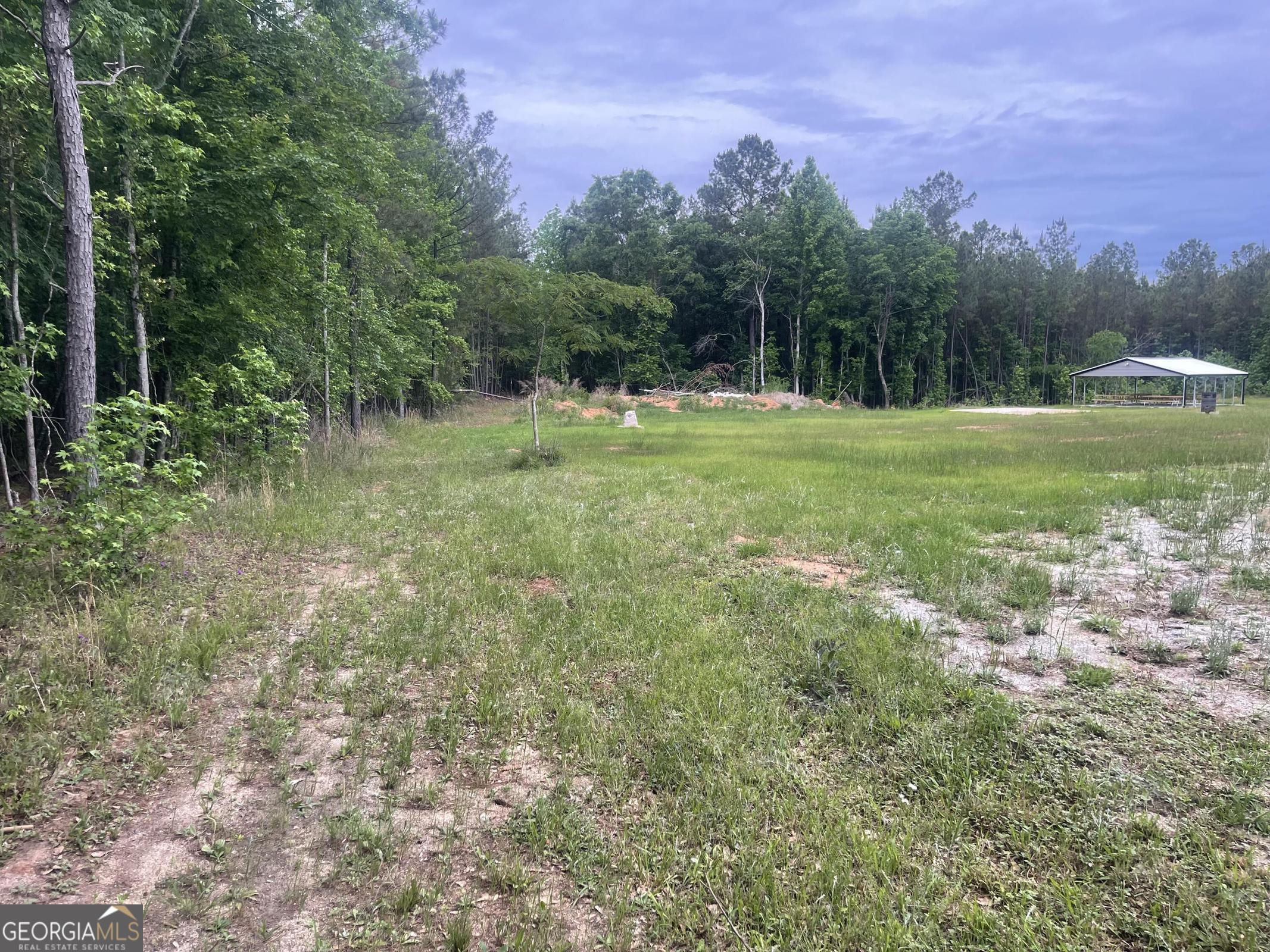 1716 Ranger Road Warrenton, GA 30828 - Photo 28 of 34