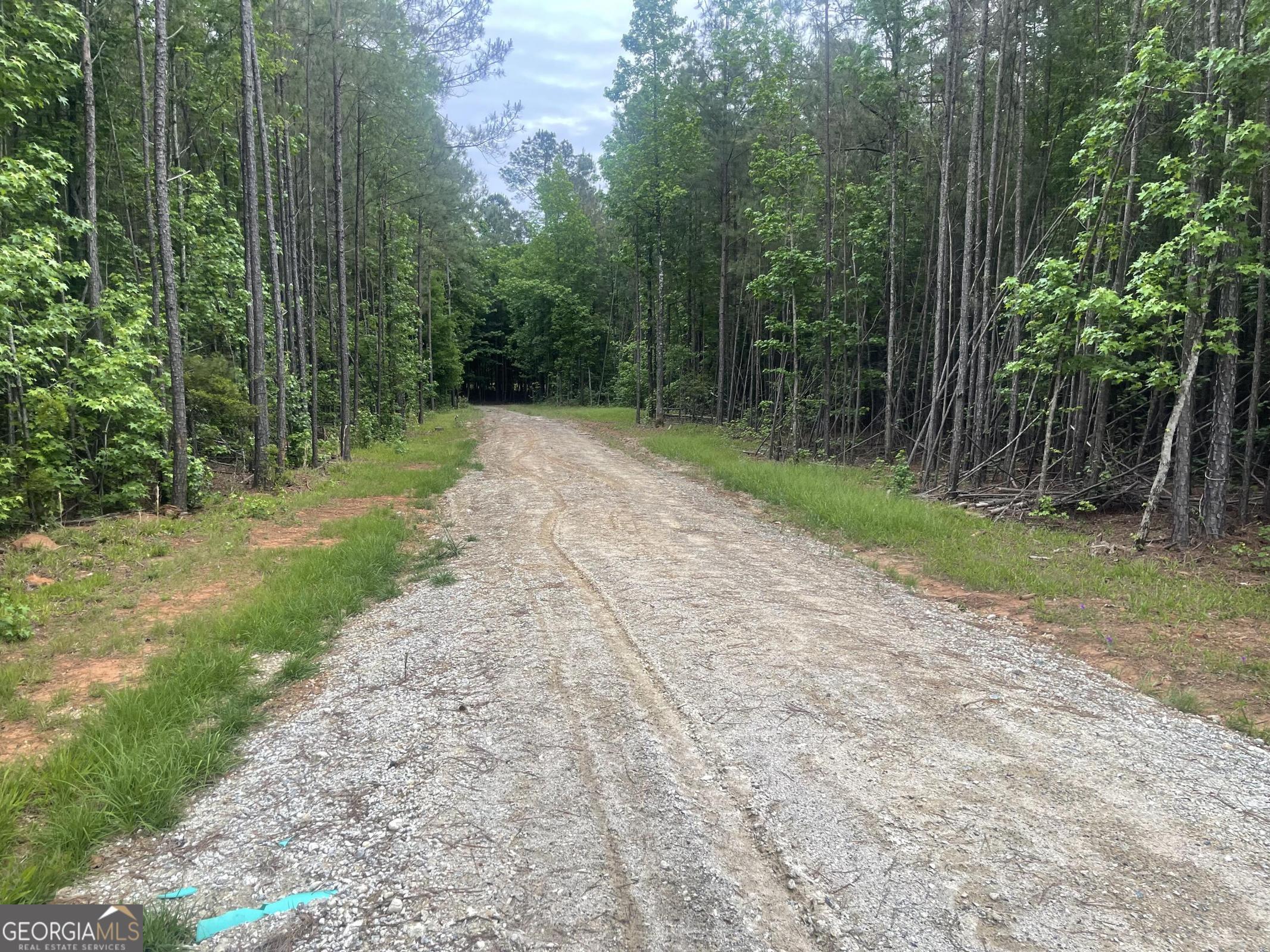 1716 Ranger Road Warrenton, GA 30828 - Photo 29 of 34