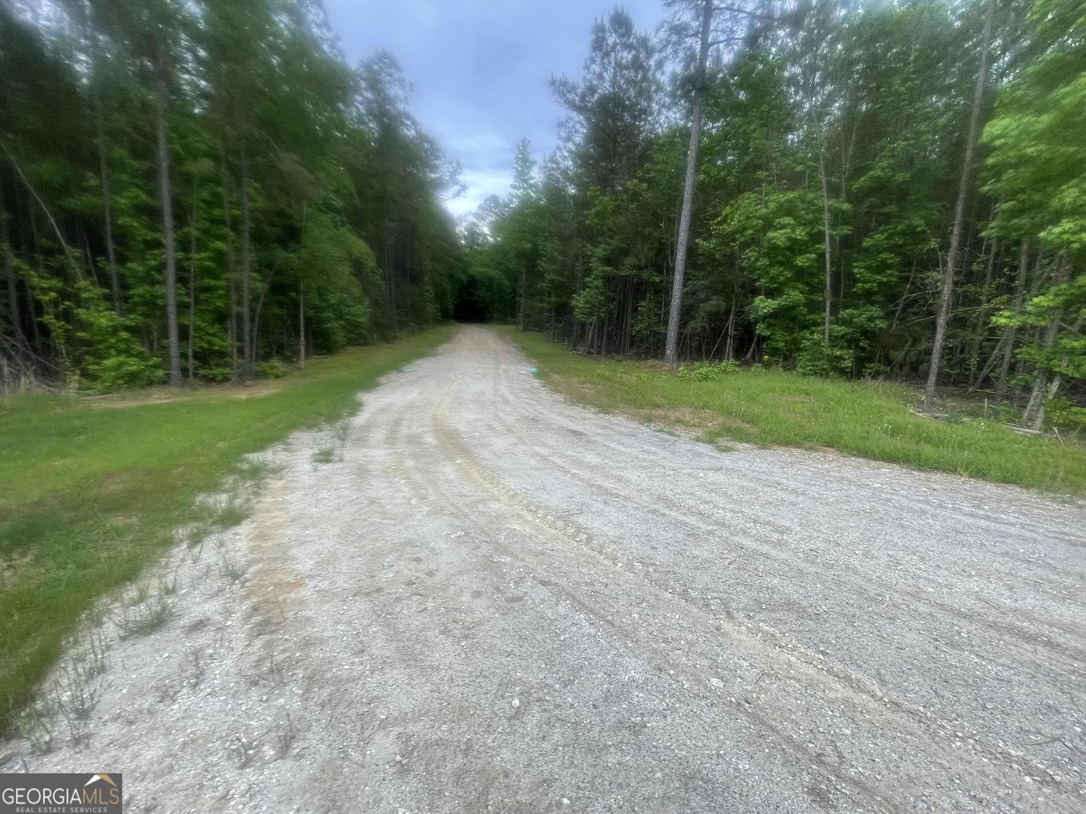 1716 Ranger Road Warrenton, GA 30828 - Photo 31 of 34