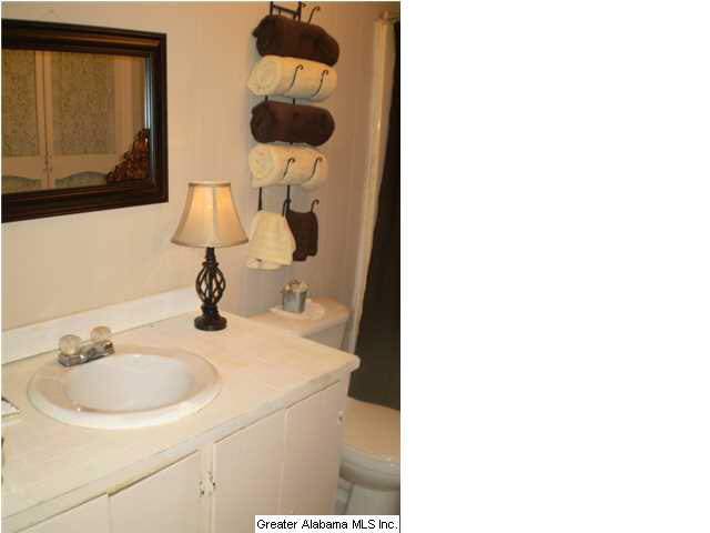240 Red Oak Lane Springville, AL 35146 - Photo 19 of 26