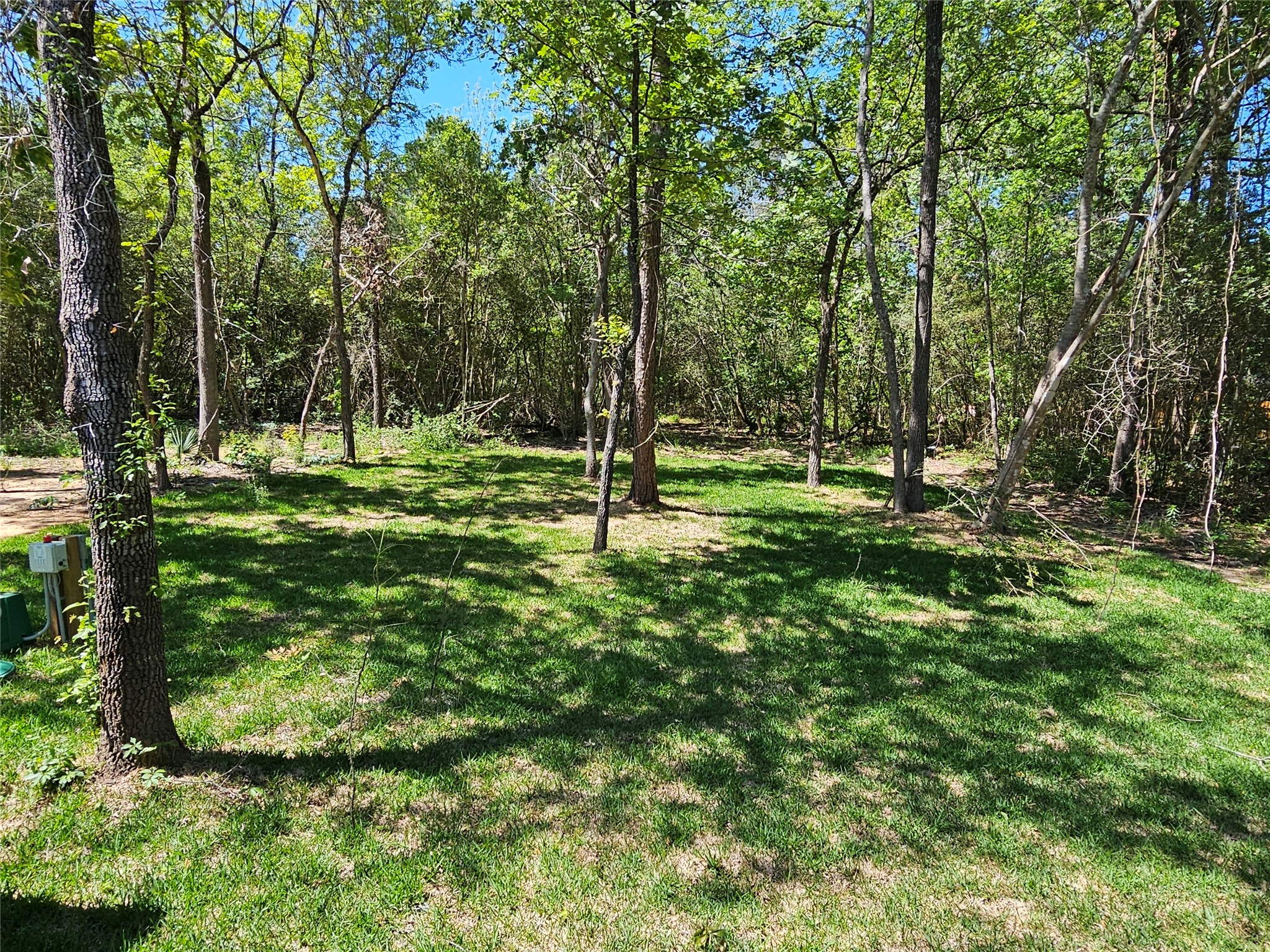14942 Colt Lane Willis, TX 77378 - Photo 6 of 6 a view of a park with a tree