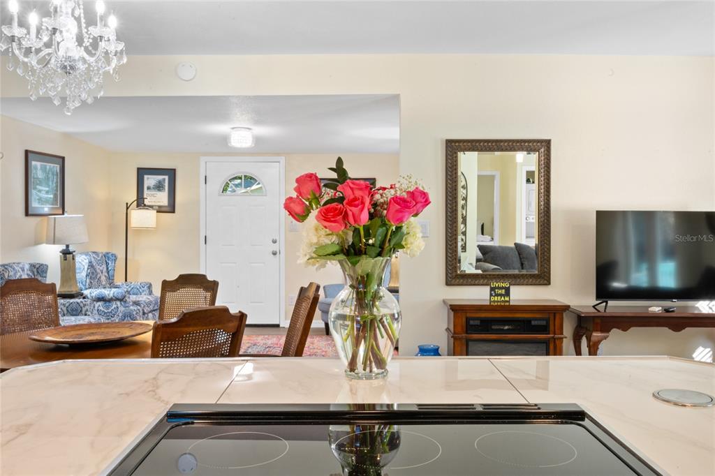 245 South Rhodes Street Mount Dora, FL 32757 - Photo 11 of 64