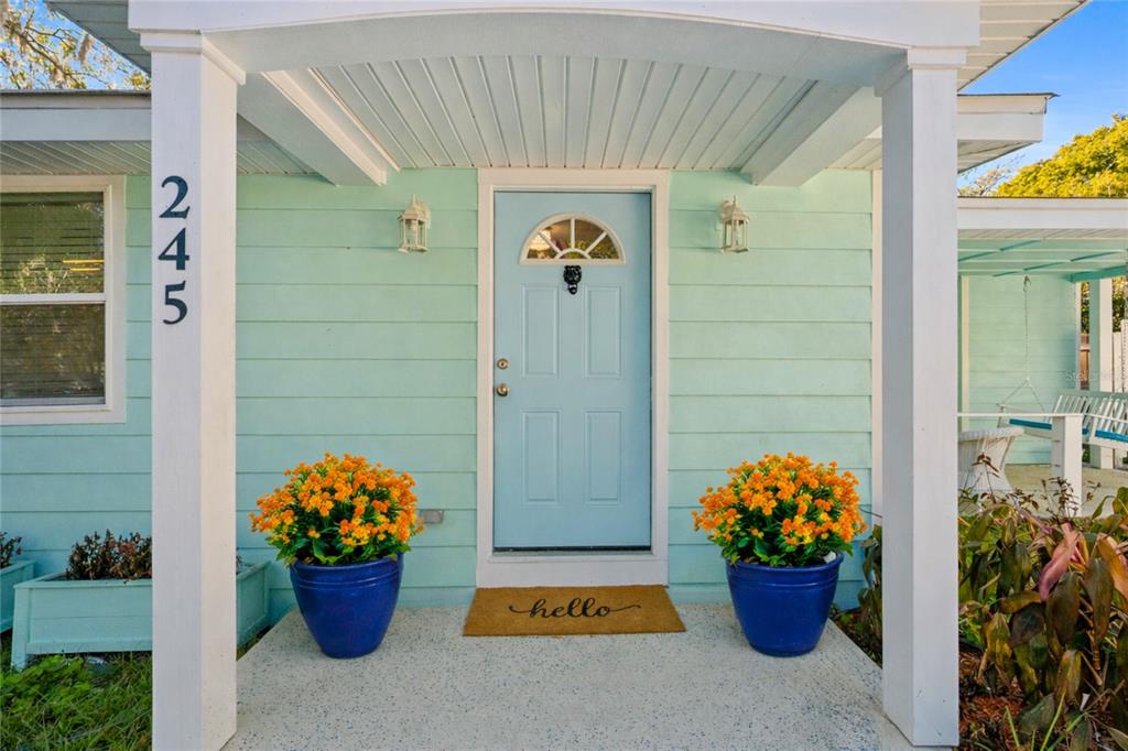 245 South Rhodes Street Mount Dora, FL 32757 - Photo 2 of 64