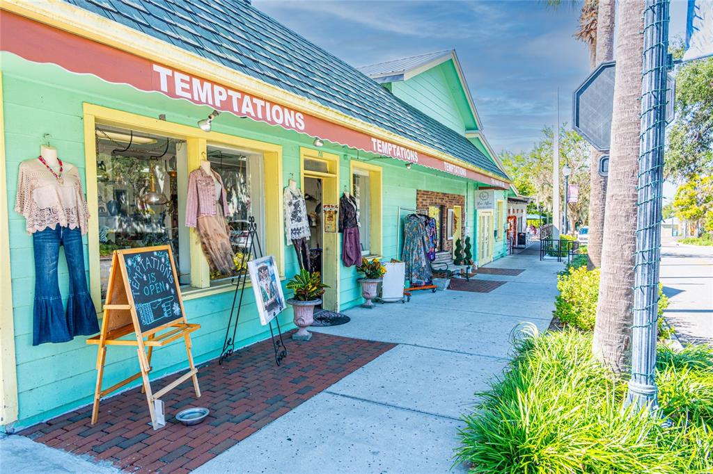 245 South Rhodes Street Mount Dora, FL 32757 - Photo 37 of 64