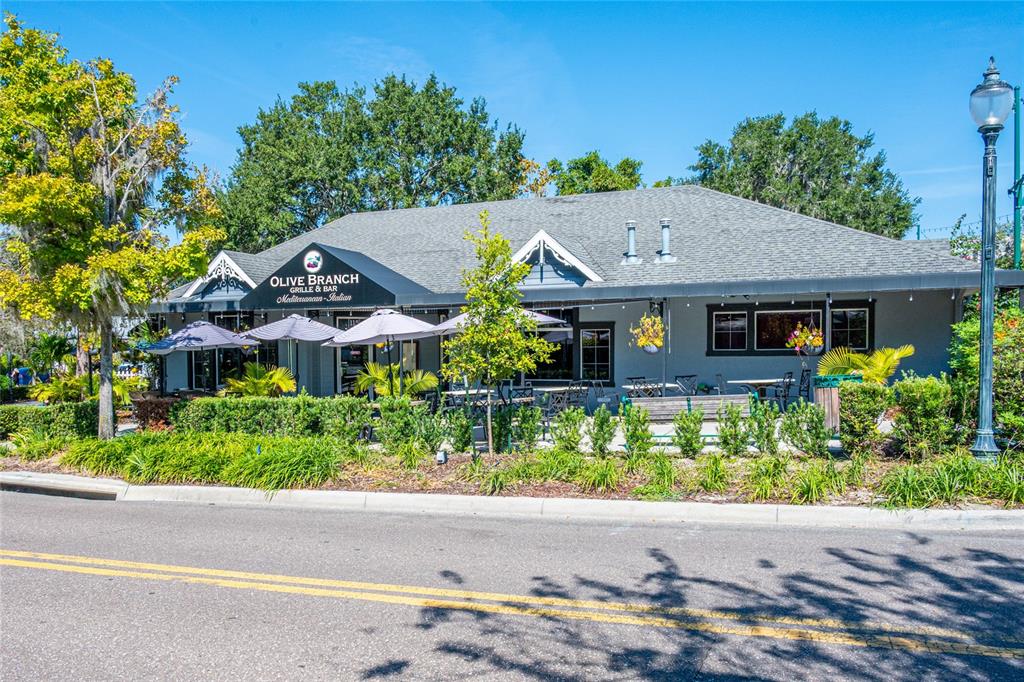 245 South Rhodes Street Mount Dora, FL 32757 - Photo 44 of 64