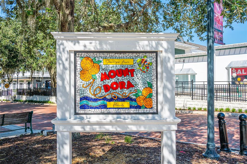 245 South Rhodes Street Mount Dora, FL 32757 - Photo 49 of 64