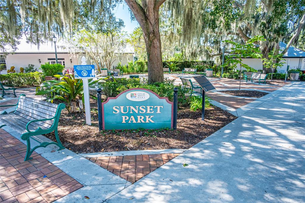 245 South Rhodes Street Mount Dora, FL 32757 - Photo 50 of 64