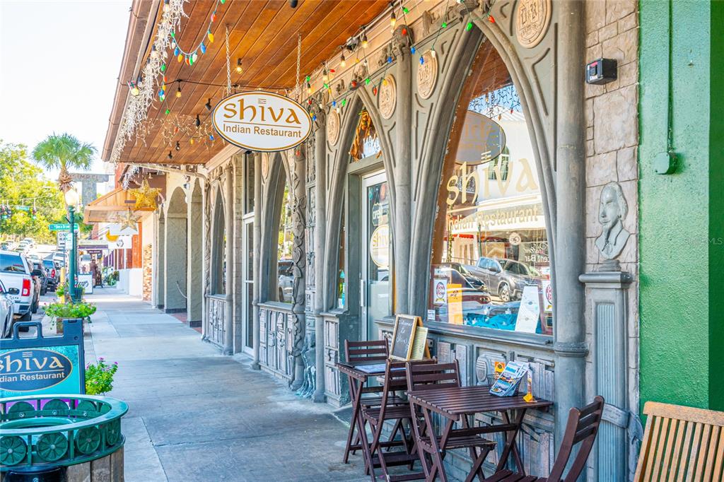 245 South Rhodes Street Mount Dora, FL 32757 - Photo 55 of 64