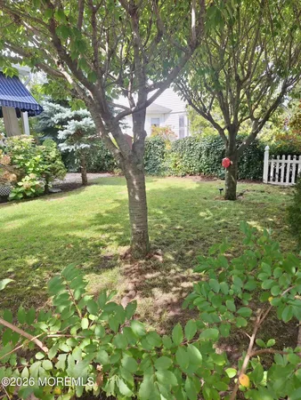 a view of a backyard with plants and garden