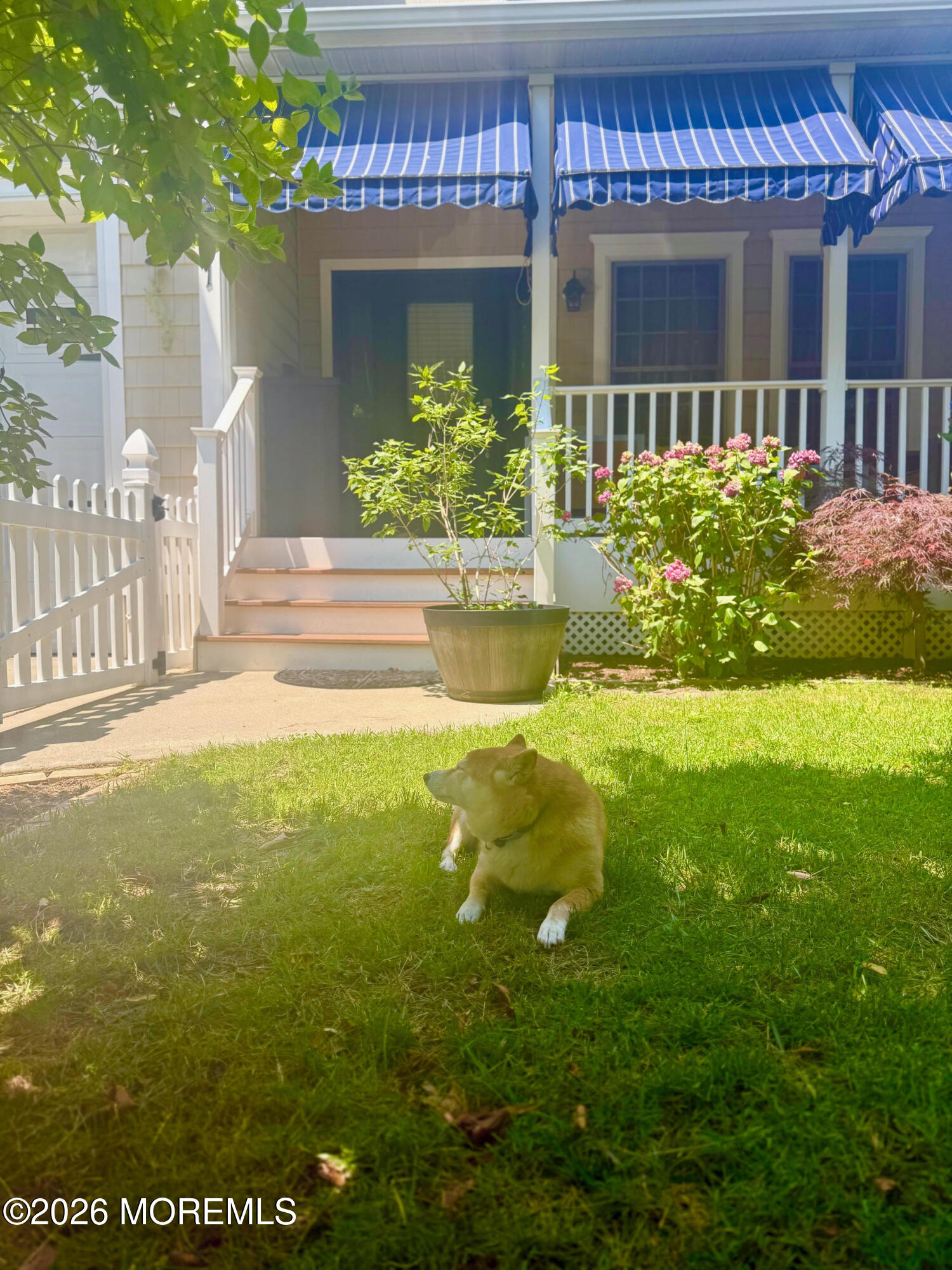 331 Richmond Avenue Point Pleasant Beach, NJ 08742 - Photo 46 of 46 Front yard pic 8