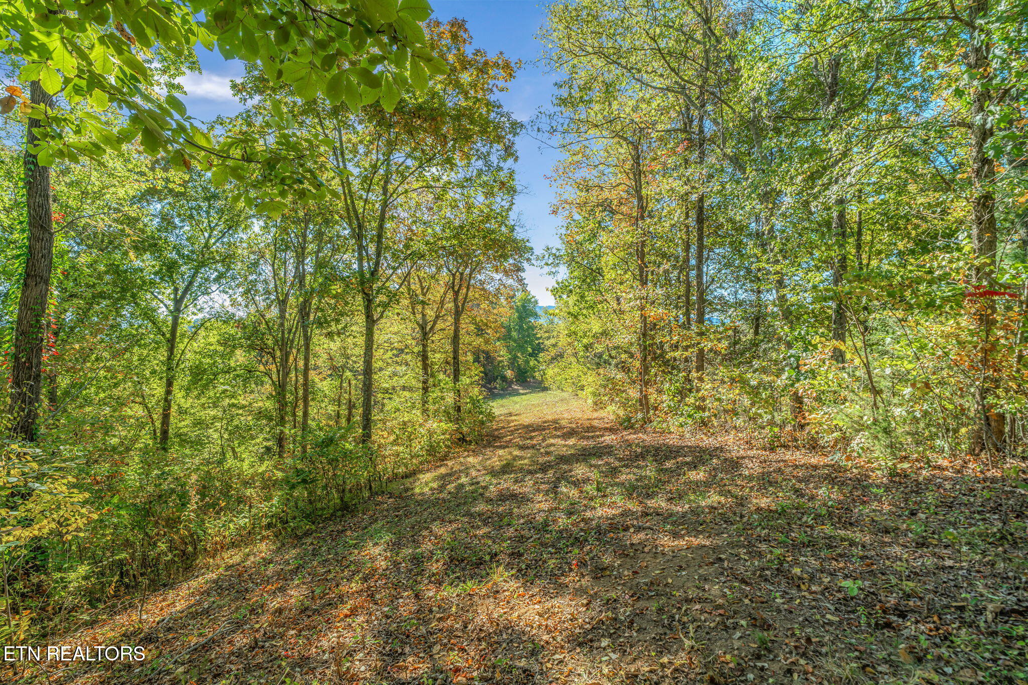 858 North Shiloh Road Seymour, TN 37865 - Photo 25 of 60 25-web-or-mls-858 N. Shiloh Road-17